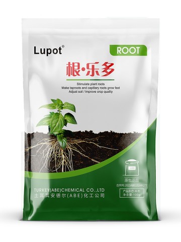 根·樂多